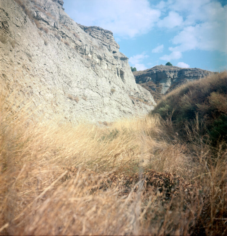 Leizeak (Nafarroa)